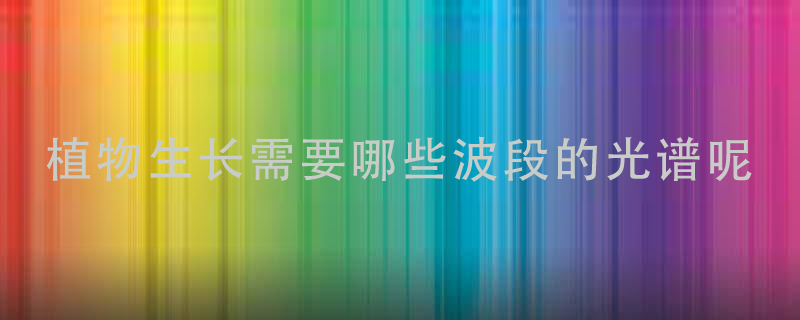 1637739183406312.jpg 植物生長需要什么樣的光.jpg